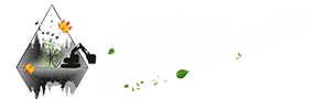Nature Environnement Logo